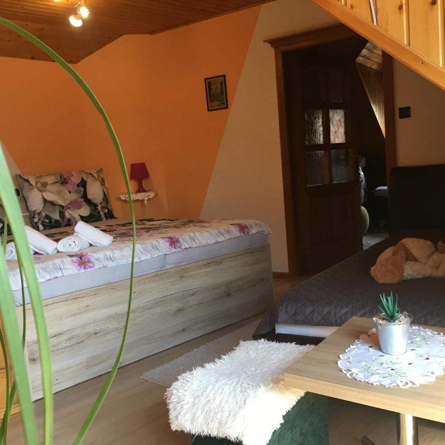 Apartment U Malse 12 Ceske Budejovice Buitenkant foto