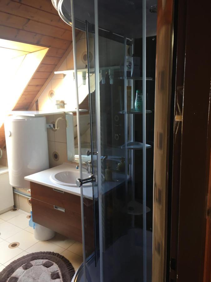 Apartment U Malse 12 Ceske Budejovice Buitenkant foto
