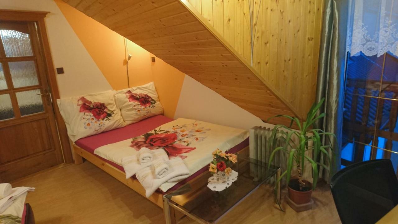 Apartment U Malse 12 Ceske Budejovice Buitenkant foto